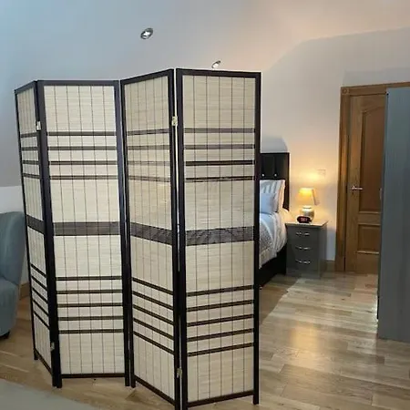 Apartment Luxury Studio Loft With Car Charging Point