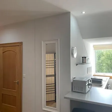 Luxury Studio Loft With Car Charging Point Apartment *